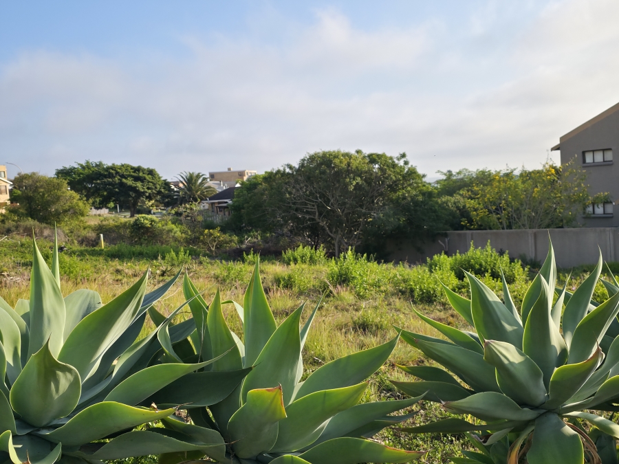 0 Bedroom Property for Sale in Wavecrest Eastern Cape